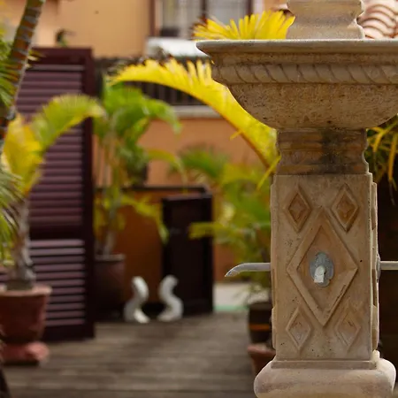 Jardin De Buda 아로나