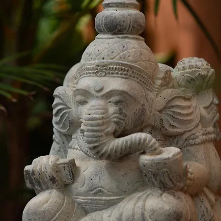 Jardin De Buda * 아로나